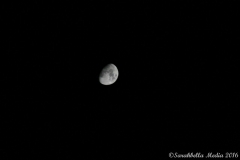 Sarahbella_Media_029